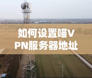 如何设置喵VPN服务器地址？配置详解及示例