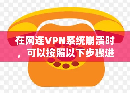 在网连VPN系统崩溃时，可以按照以下步骤进行排查和处理