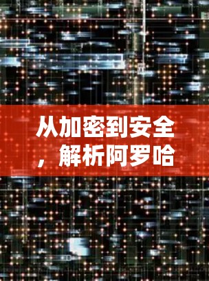 从加密到安全,解析阿罗哈浏览器VPN 从加密到安全,解析阿罗哈浏览器VPN