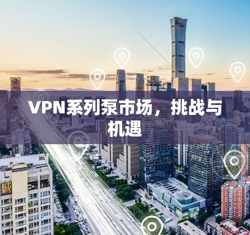 VPN系列泵市场，挑战与机遇