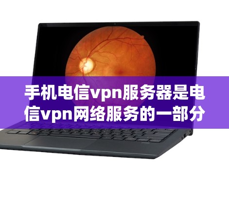 手机电信vpn服务器是电信vpn网络服务的一部分，主要负责网络通信和数据流的管理。以下是对该服务的详细分析