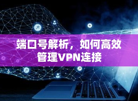 端口号解析，如何高效管理VPN连接