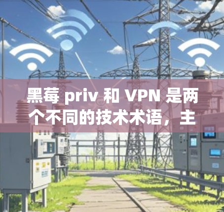 黑莓 priv 和 VPN 是两个不同的技术术语，主要在黑莓手机上有不同的用途和功能。以下是它们的区别