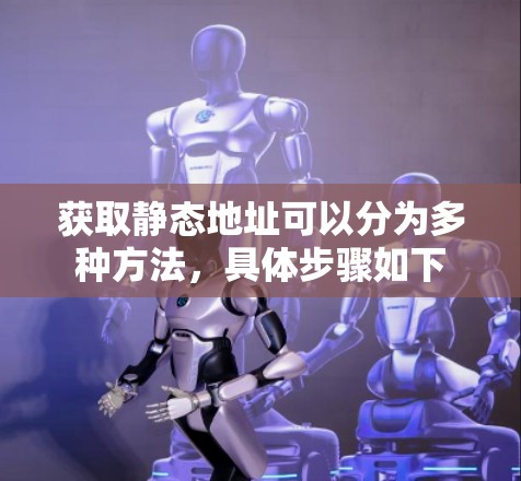 获取静态地址可以分为多种方法,具体步骤如下 获取静态地址可以分为多种方法,具体步骤如下