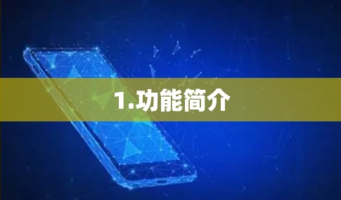 1.功能简介 1.功能简介