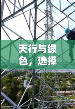 天行与绿色，选择网络安全的明智之举