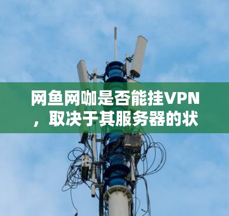 网鱼网咖是否能挂VPN，取决于其服务器的状态和环境。以下是详细的分析和建议