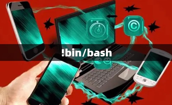 !bin/bash