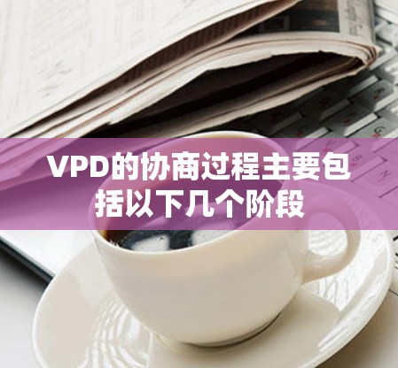 VPD的协商过程主要包括以下几个阶段
