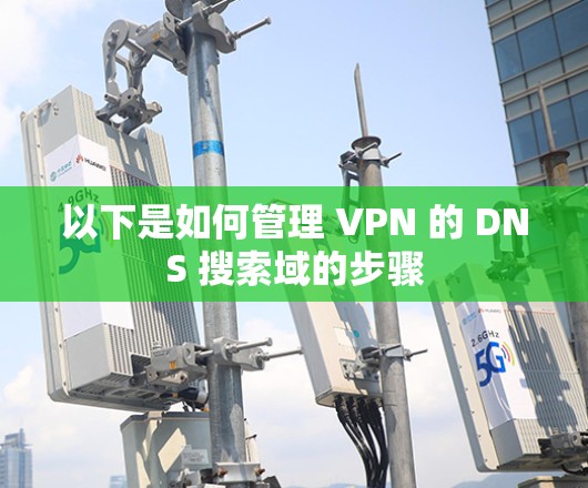 以下是如何管理 VPN 的 DNS 搜索域的步骤