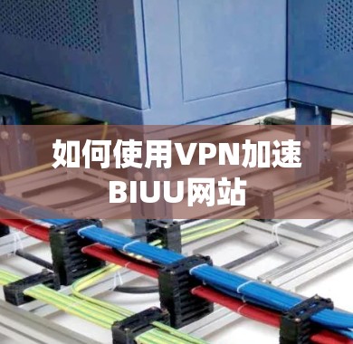 如何使用VPN加速BIUU网站