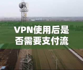 VPN使用后是否需要支付流量费用？