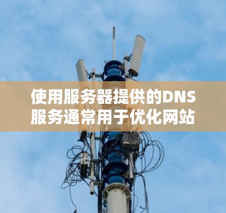 使用服务器提供的DNS服务通常用于优化网站性能、提高访问速度以及提供更高的兼容性。以下是使用服务器提供的DNS服务的步骤