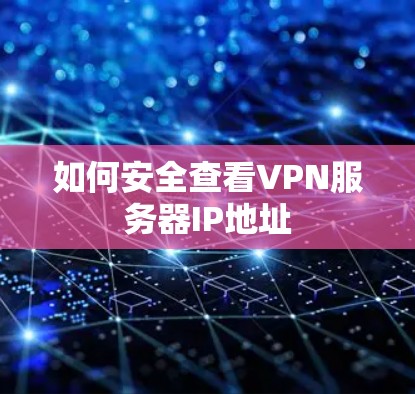 如何安全查看VPN服务器IP地址