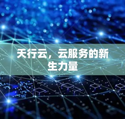 天行云，云服务的新生力量