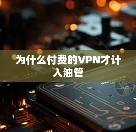 为什么付费的VPN才计入油管