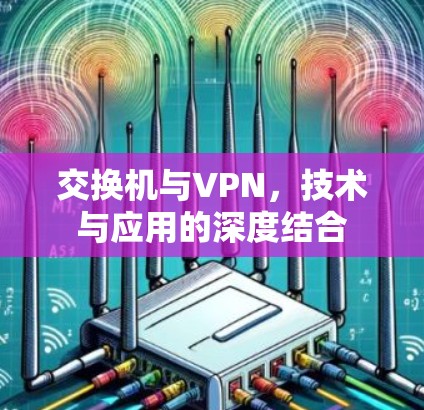 交换机与VPN，技术与应用的深度结合