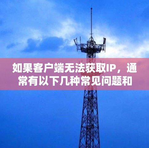 如果客户端无法获取IP，通常有以下几种常见问题和解决方法
