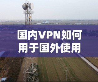 国内VPN如何用于国外使用