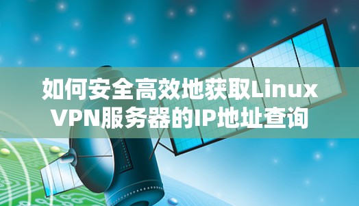 如何安全高效地获取LinuxVPN服务器的IP地址查询