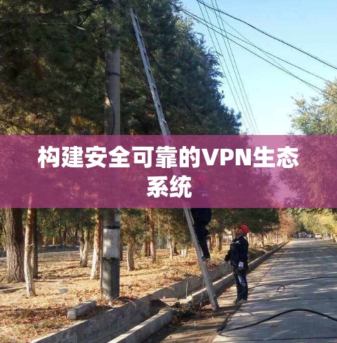 构建安全可靠的VPN生态系统