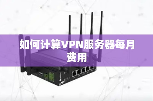 如何计算VPN服务器每月费用
