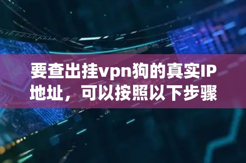 要查出挂vpn狗的真实IP地址，可以按照以下步骤进行