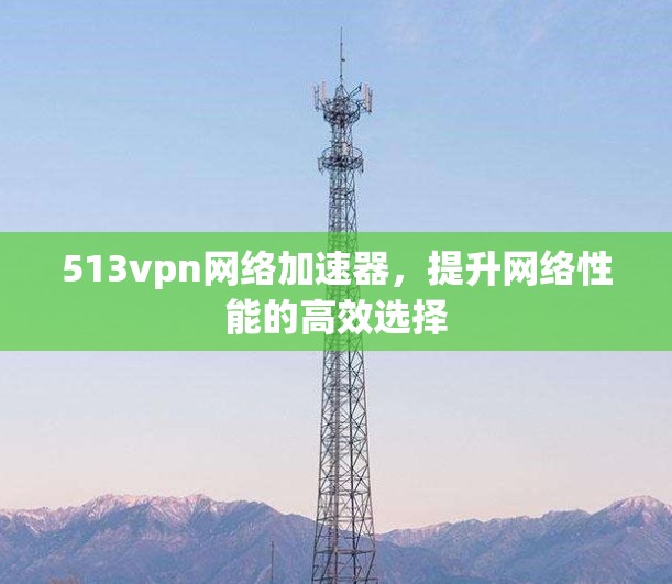 513vpn网络加速器，提升网络性能的高效选择