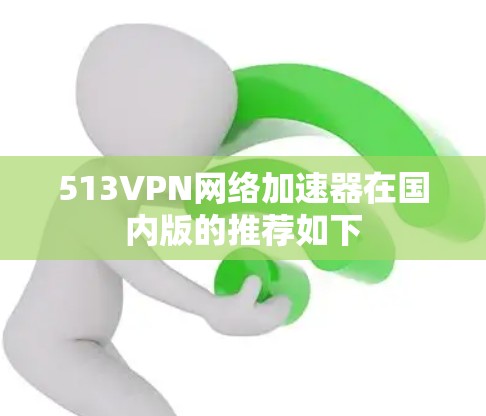 513VPN网络加速器在国内版的推荐如下
