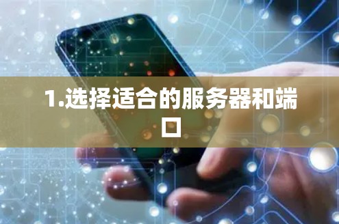 1.选择适合的服务器和端口
