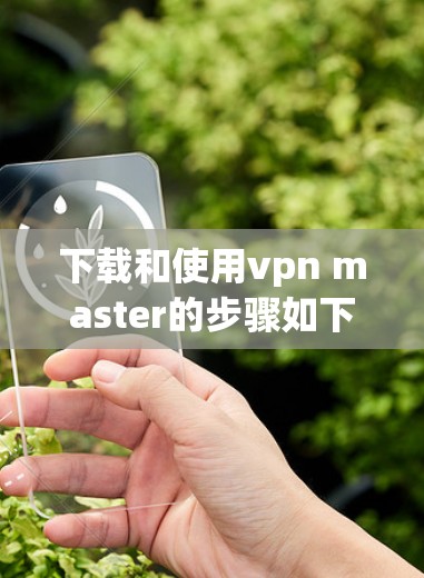 下载和使用vpn master的步骤如下