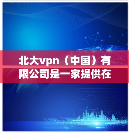 北大vpn（中国）有限公司是一家提供在线VPN服务的公司，提供多种VPN解决方案，包括端到端加密、加密接头、端到端加密、端到端加密与端到端方式的结合等