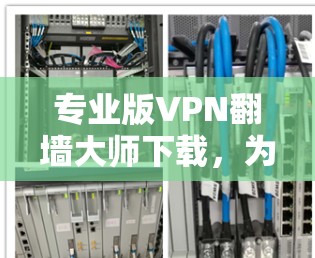 专业版VPN翻墙大师下载，为你的VPN之路保驾护航