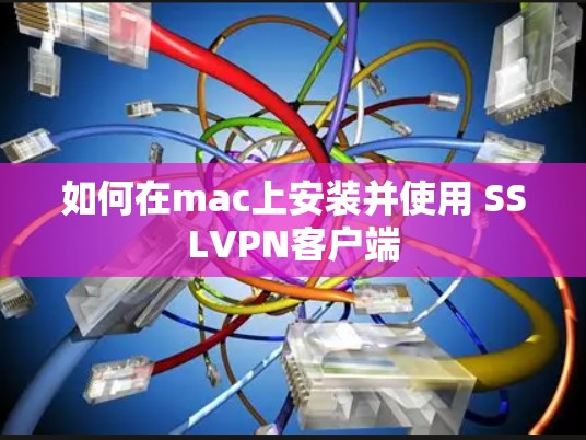 如何在mac上安装并使用 SSLVPN客户端
