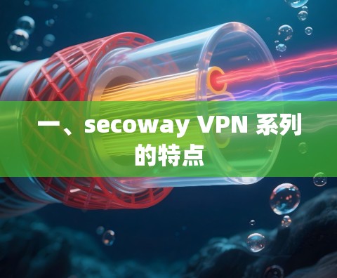 一、secoway VPN 系列的特点