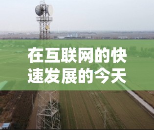在互联网的快速发展的今天，VPN作为一种重要的网络连接方式，越来越受到用户和机构的关注和欢迎。以下是关于VPN用户选择的相关信息，包括其主要类型、选择的考虑因素以及推荐的建议