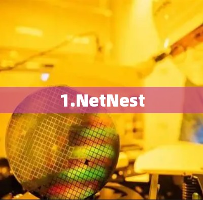 1.NetNest