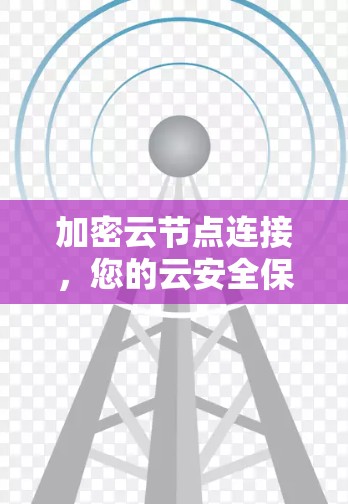 加密云节点连接,您的云安全保护专家 加密云节点连接,您的云安全保护专家