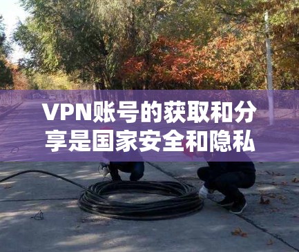 VPN账号的获取和分享是国家安全和隐私保护的重要方面。在实际使用中，获取VPN账号的权限通常是通过合法的VPN平台或应用程序。如果需要分享账号，建议在确保安全的前提下进行操作
