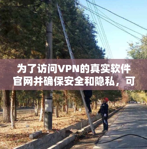 为了访问VPN的真实软件官网并确保安全和隐私，可以按照以下步骤操作