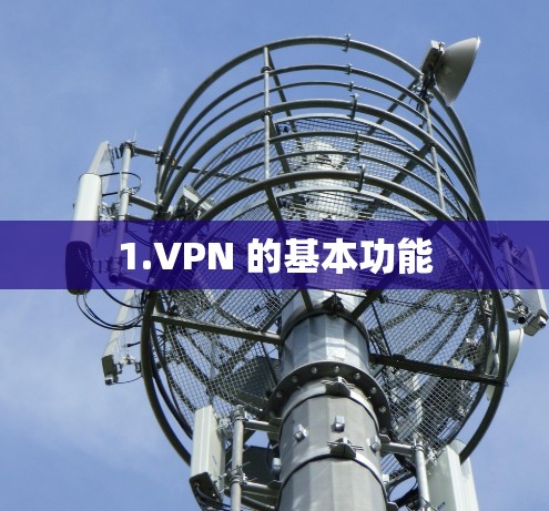 1.VPN 的基本功能
