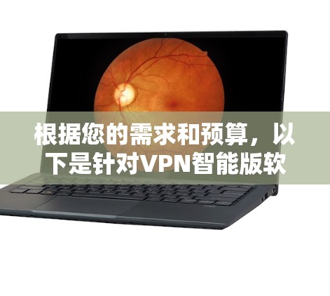 根据您的需求和预算，以下是针对VPN智能版软件的推荐