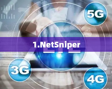1.NetSniper