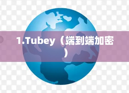 1.Tubey（端到端加密）