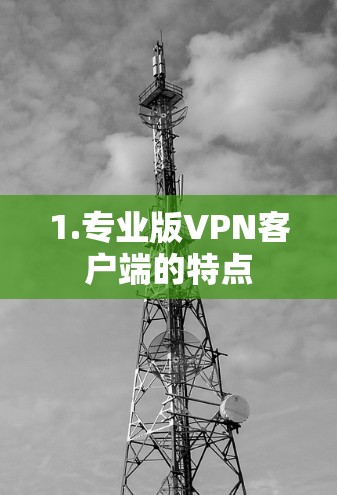 1.专业版VPN客户端的特点