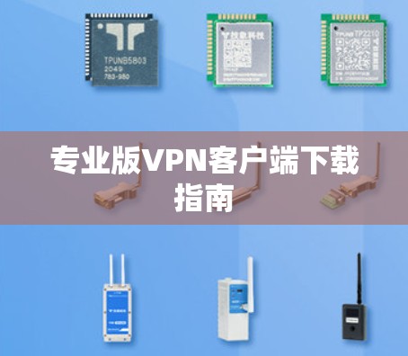 专业版VPN客户端下载指南