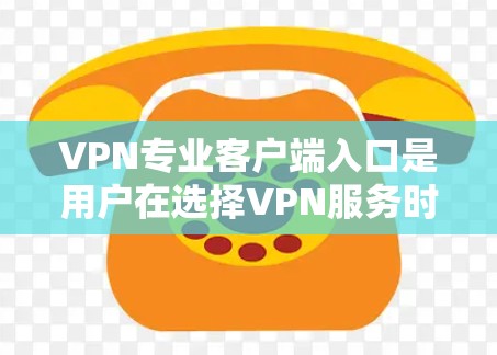 VPN专业客户端入口是用户在选择VPN服务时常见的渠道，以下是一些主要的入口及使用方法