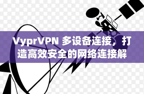 VyprVPN 多设备连接，打造高效安全的网络连接解决方案