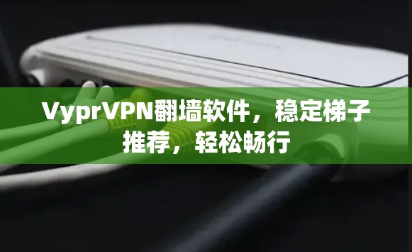 VyprVPN翻墙软件，稳定梯子推荐，轻松畅行