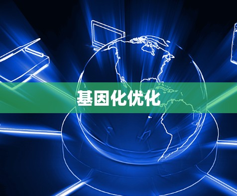 基因化优化
